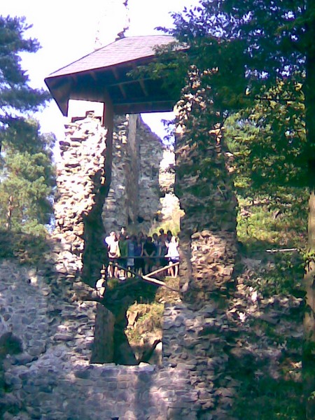 Obraz007.jpg